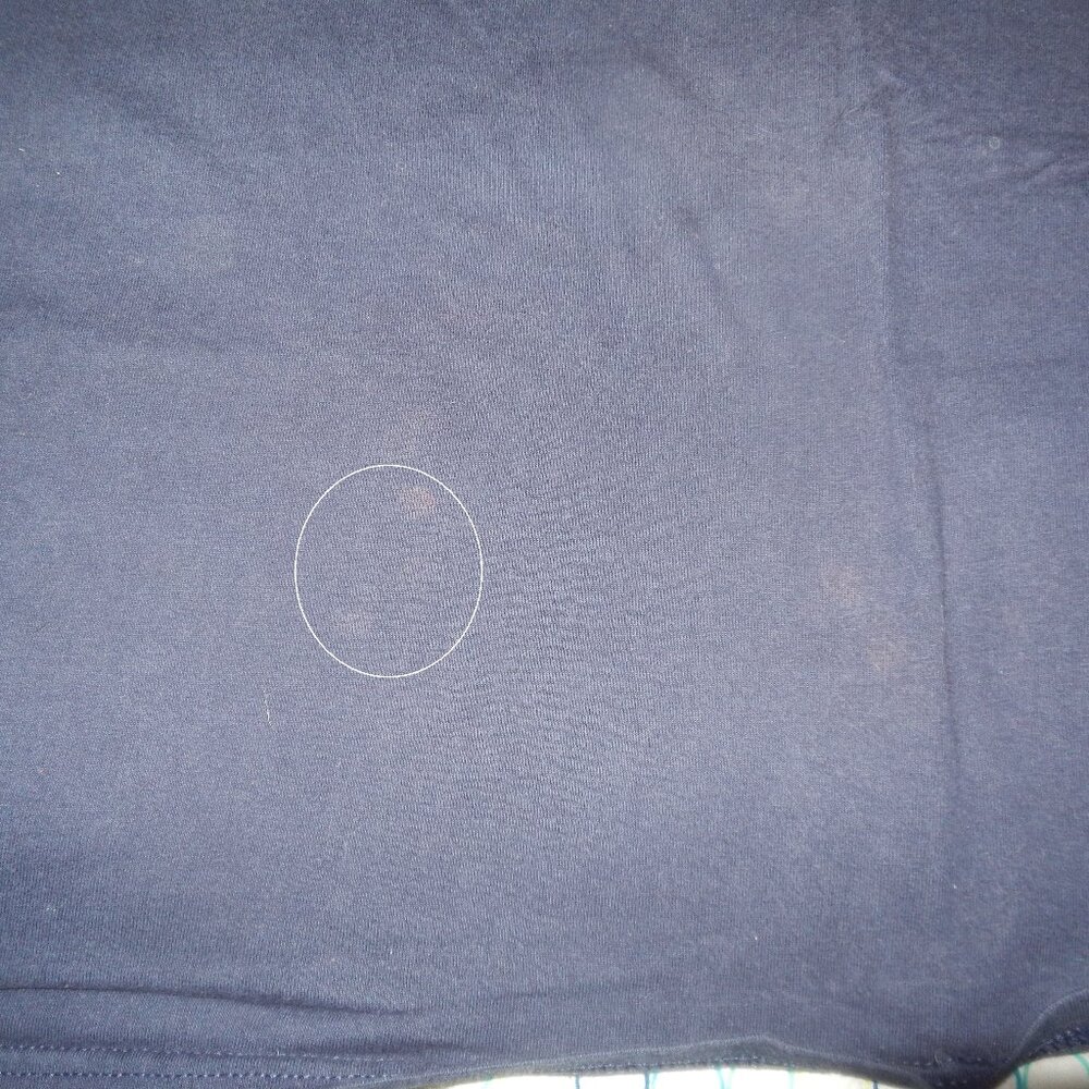2 Vintage Fruit of the Loom tee shirts. Sz L - Picture 9 of 10